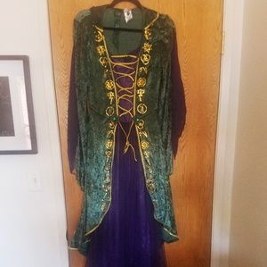 Winifred Sanderson Adult Spirit Halloween Costume